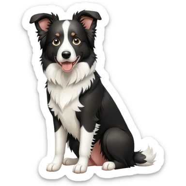 Merle Border Collie Sitting sticker