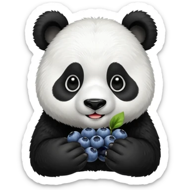 Panda bear eating blueberries sticker