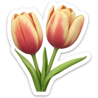 Tulpe sticker