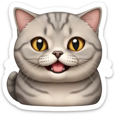 scottish fold british shorthair mix gray cat hissing sticker