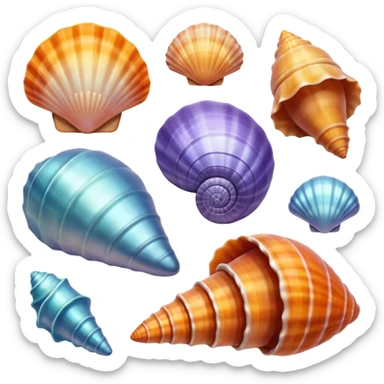 Sea shells sticker