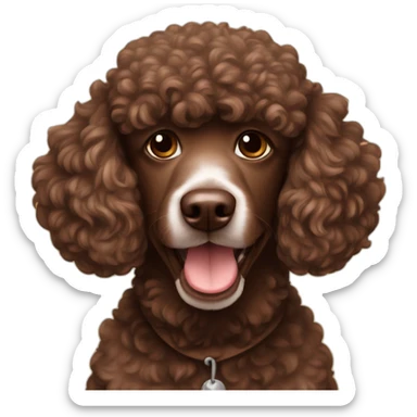 Chocolate poodle hooligan sticker