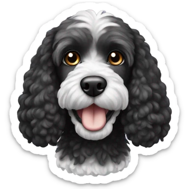 black cockapoo dog with white chin sticker