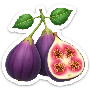 Fig sticker