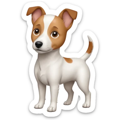 a fully white jack russell the size of a kelpie with light brown ears and a light brown patch on one eye sticker