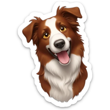 red-smiling-border-collie sticker