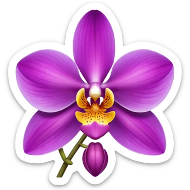 Orchid sticker