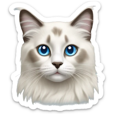 light bicolor ragdoll cat with blue eyes sticker