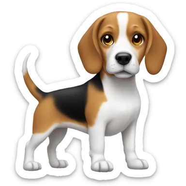 beagle dog and girl sticker