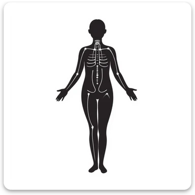 Human body silhouette with digital 3D scanning grid lines covering it, futuristic body scan sticker