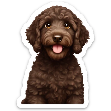 Dark brown Australian labradoodle puppy sticker