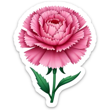 carnation flower sticker