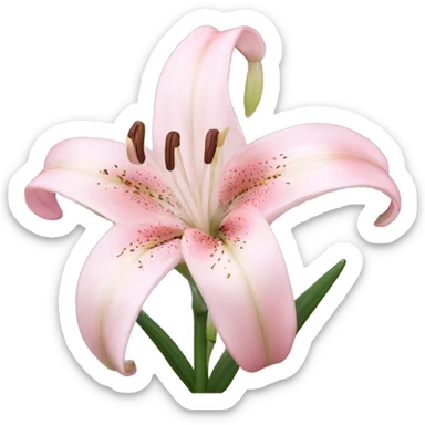 light pink lilium sticker