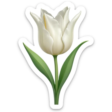 white tulip with green stem, no text sticker