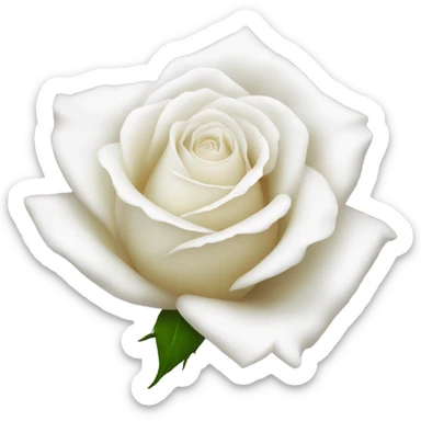 a white rose  sticker