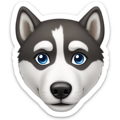 A Husky with one bleu eye and brown sticker