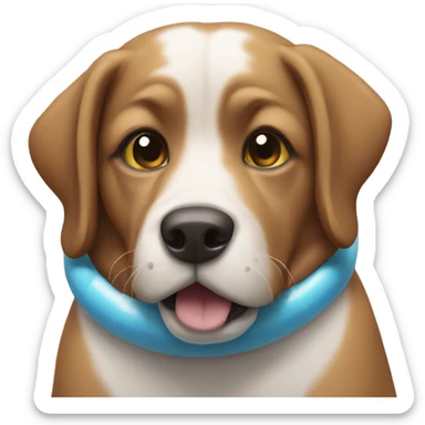 Dog in swimming pool  sticker