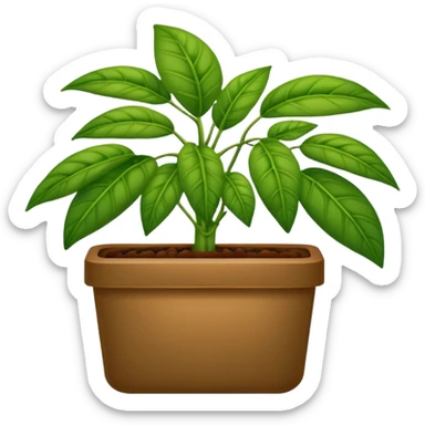 plantas abundantes tipo helecho en macetas rectangulares color café sticker