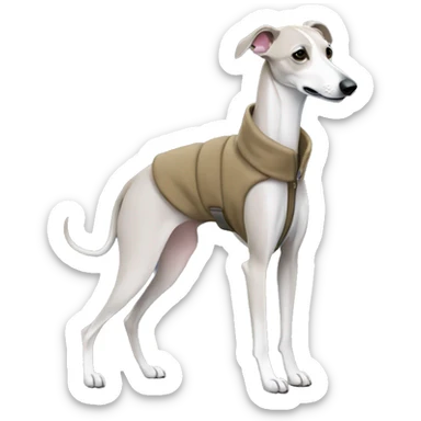 Whippet wearing a coat sticker