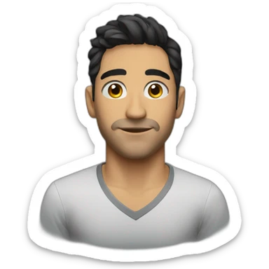 Dani valle 33 sticker