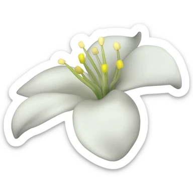 Jasmine flower sticker