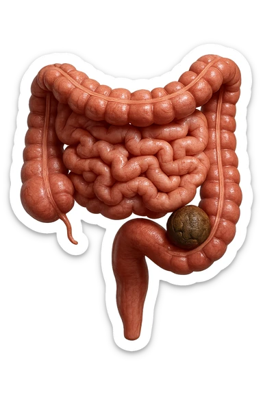 intestino umano anatomico con feci a palline bloccate nel colon, stipsi, iperrealistico 4k sticker