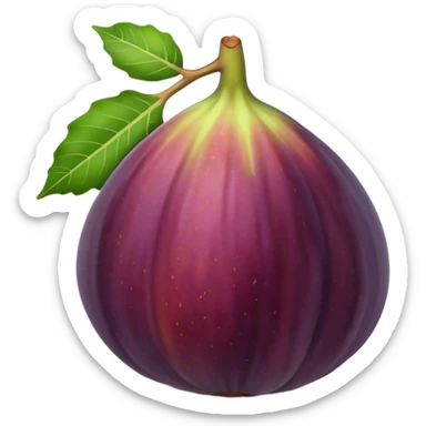 Fig fruit sticker