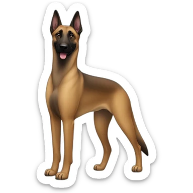 belgian malinois sticker