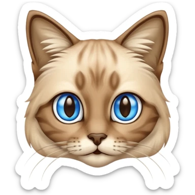 Tabby cat long hair in Siamese colors sticker