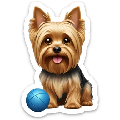 Yorkshire terrier with a ball sticker