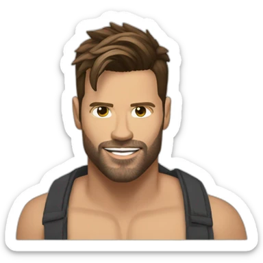 Ricky martin sticker
