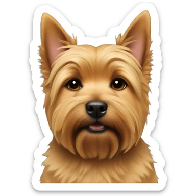 norwich terrier ears down sticker