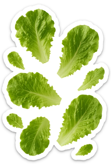 foglie di insalata fluttuano in aria, iperrealistico, non disegnato sticker
