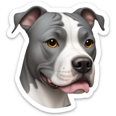 Grey American Staffordshire terrier with white spot  sticker