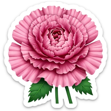 Carnation flowers  sticker