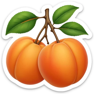 abricot unique sans feuille sticker