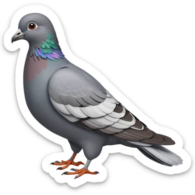 Pigeon sticker