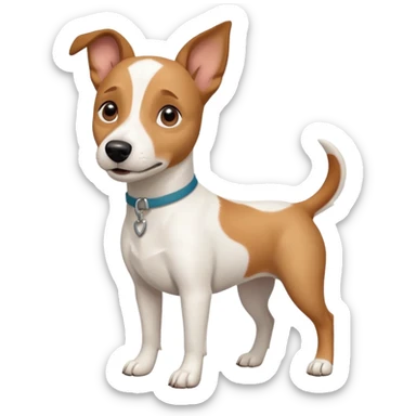 a full body white jack russel looking dog the size of a kelpie with light brown ears and a light brown patch on one eye and a large snout sticker