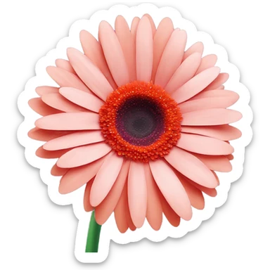 gerbera daisy sticker