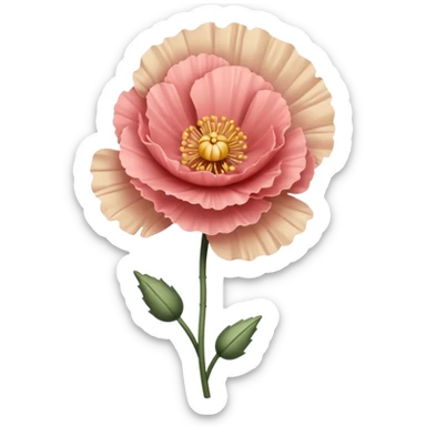 Carnation poppy beige light rose sticker