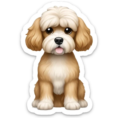 Poodle Shih Tzu mix tan color full body  sticker