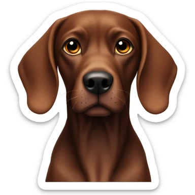 Viszla dog black & brown sticker