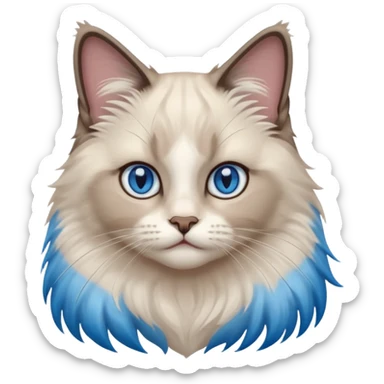 ragdoll, blue eyes, bi color sticker