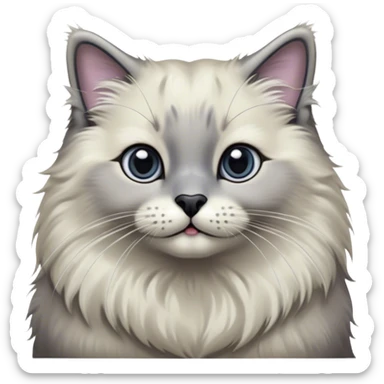 Cinematic Adorable Fluffy Grey Seal Ragdoll Cat Portrait Emoji, Head tilted cutely with big, sparkling eyes, soft grey fur with darker seal points on the ears, face, and paws, Simplified yet irresistibly adorable features, highly detailed, glowing with a soft, warm glow, high shine, affectionate and playful, stylized with a touch of whimsy, bright and endearing, soft glowing outline, capturing the essence of a curious and loving kitten, so cute it feels like it could leap out of the screen and snuggle up for a cuddle! sticker