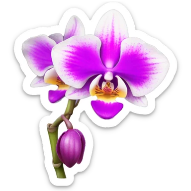 orchid flower sticker