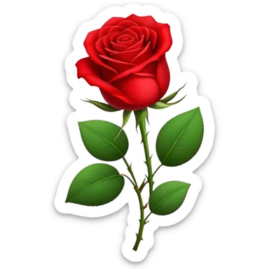 Red rose for Sant Jordi celebration sticker