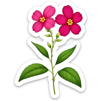 single Impatiens Balsamina flower stem sticker