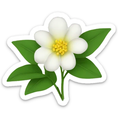 jasmins flowers with leafs sticker