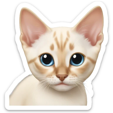 Flame point Siamese kitten  sticker