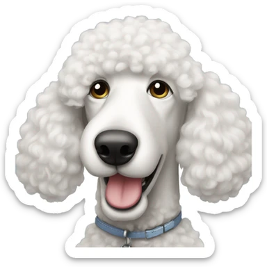 White standard poodle  sticker